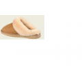 UGG Slipper 